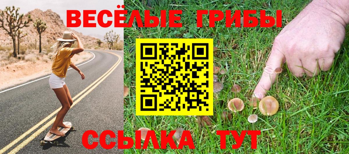 Галлюциногенные грибы Psilocybine cubensis Кингисепп